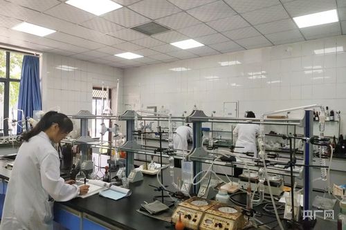 种酿游创新链 绽放丝路醇香新魅力